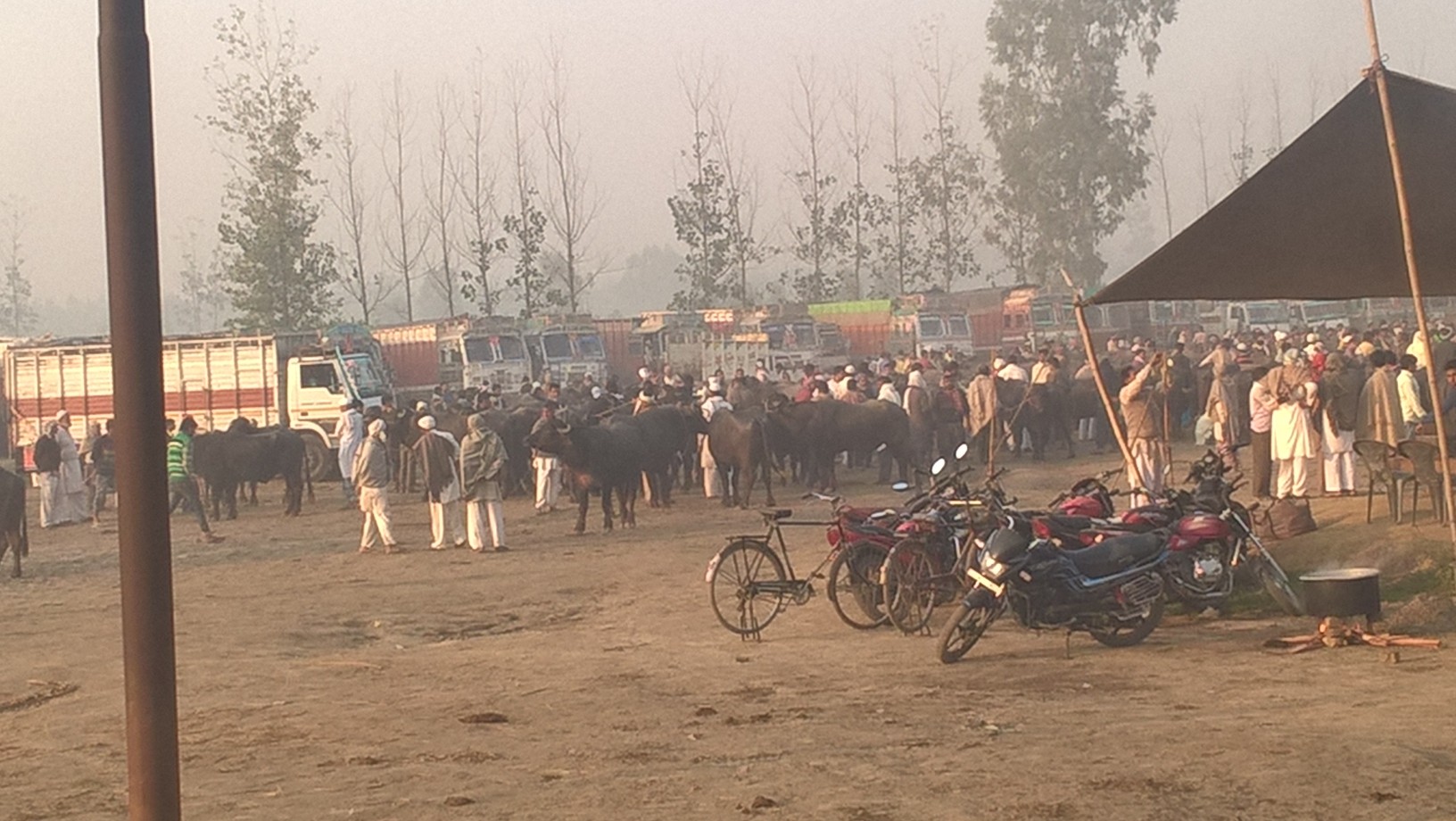 WP_20151121_07_59_23_Pro