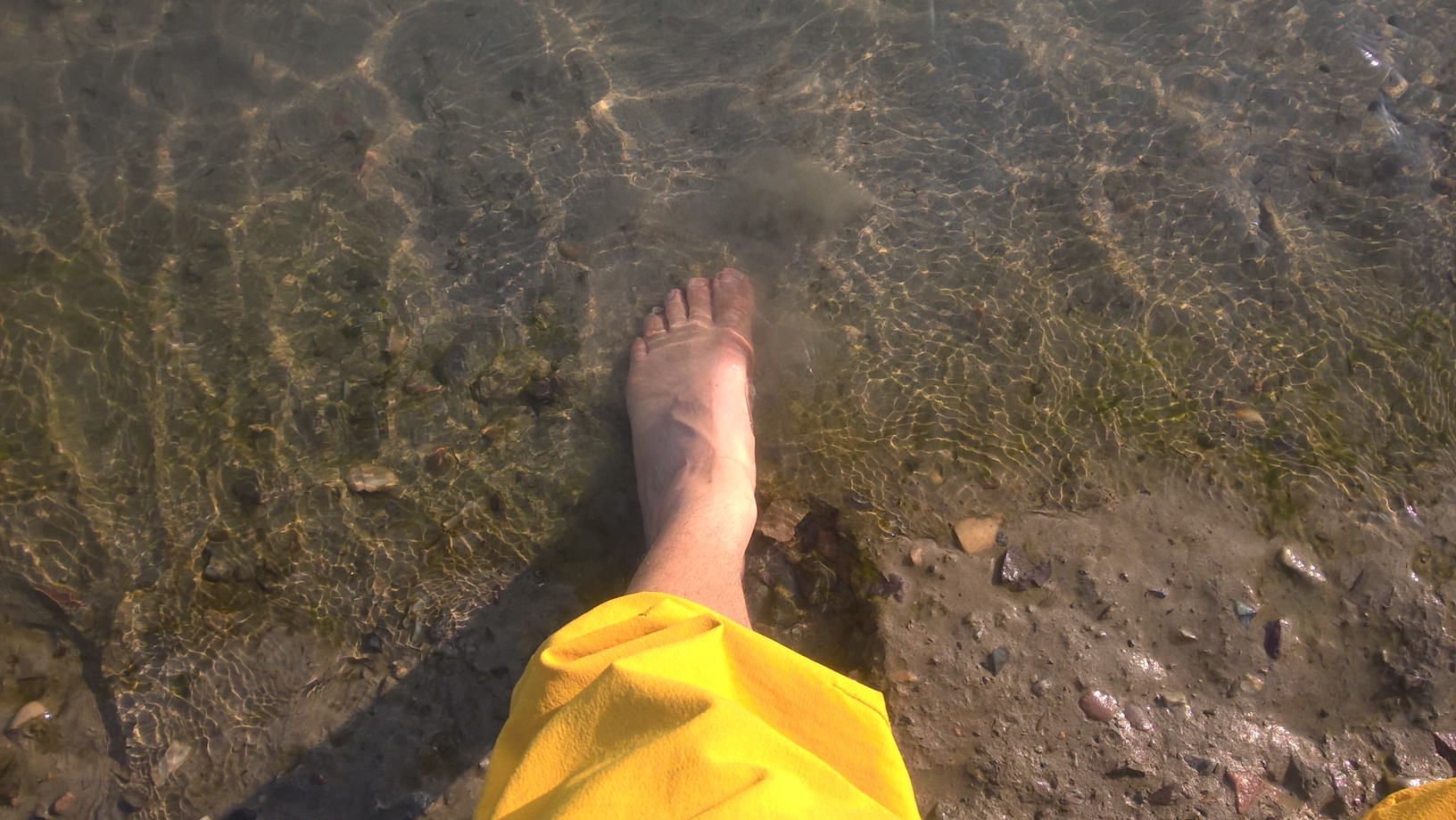 WP_20151121_15_26_21_Pro