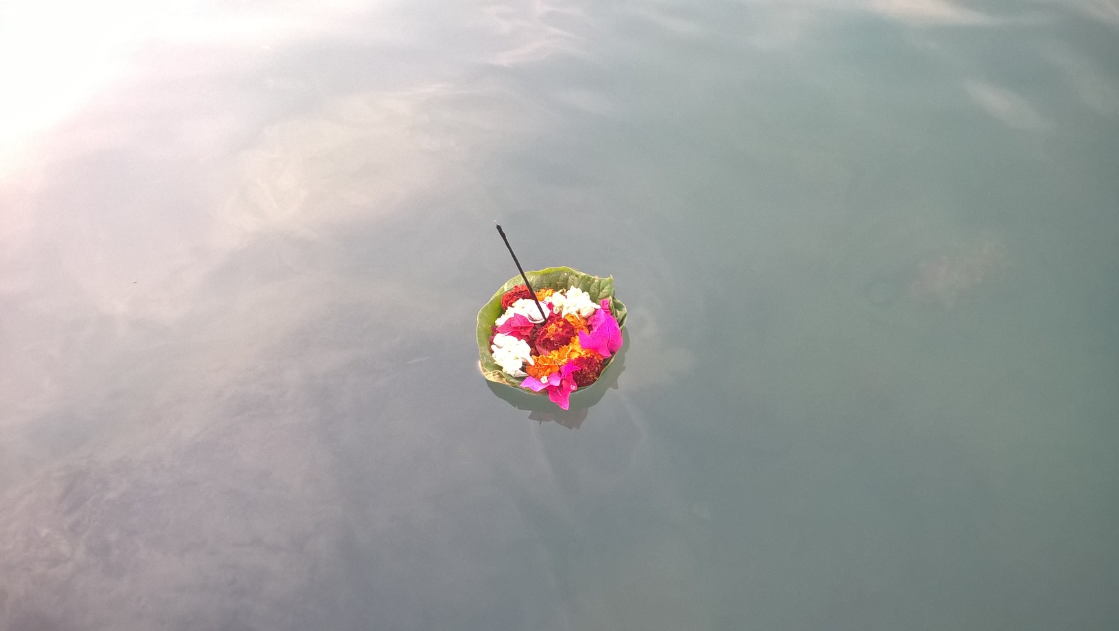 WP_20151121_17_00_05_Pro