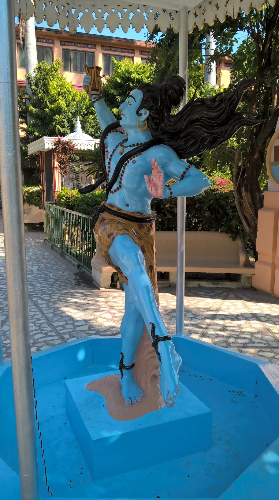 WP_20151122_10_43_26_Pro