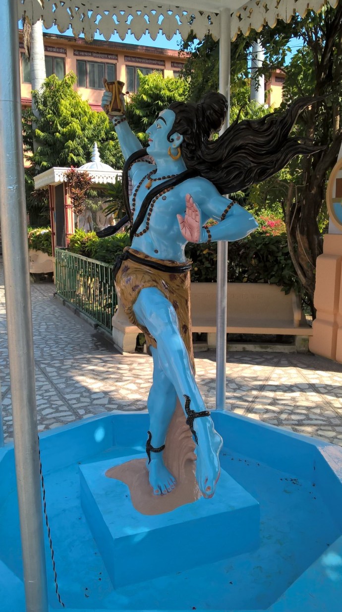 WP_20151122_10_43_26_Pro