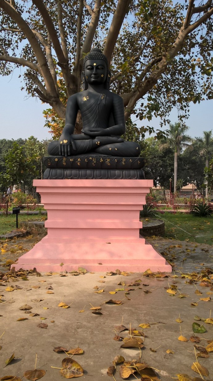 WP_20160221_10_45_49_Pro