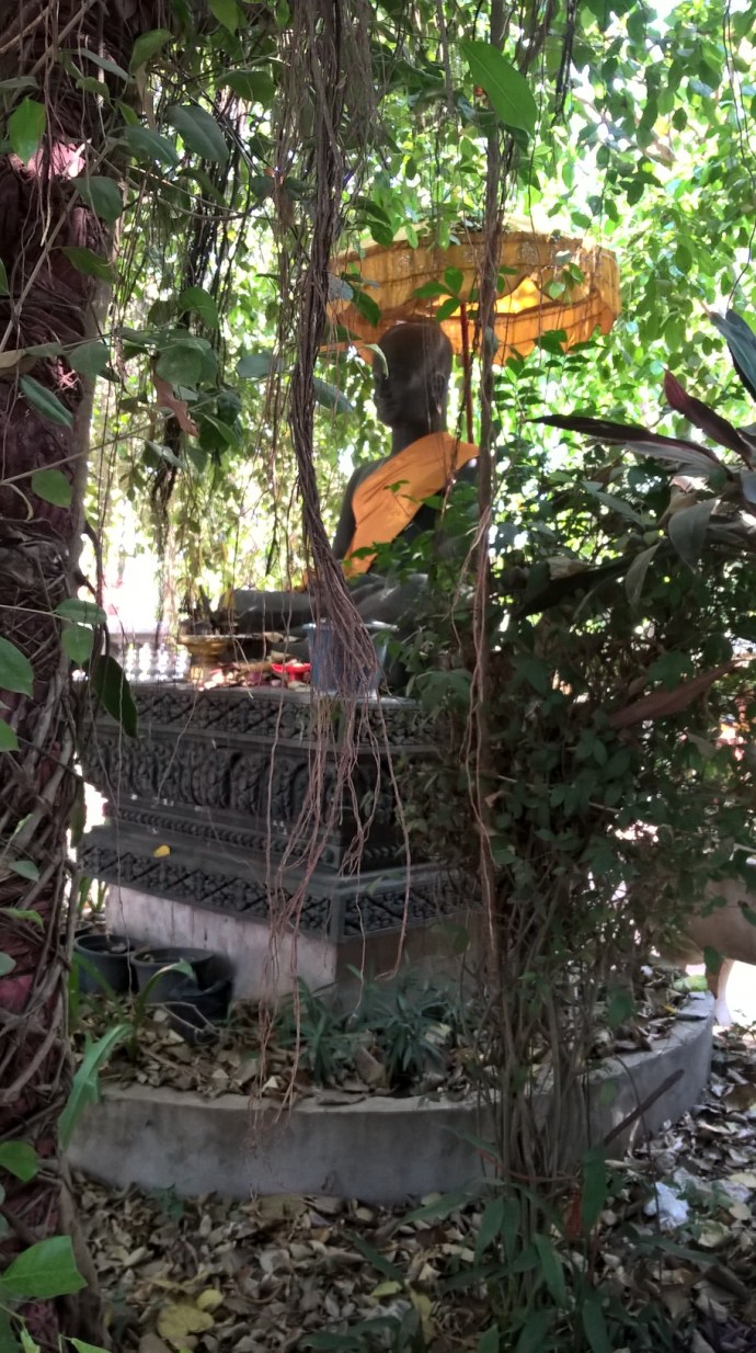 WP_20160317_14_47_50_Pro